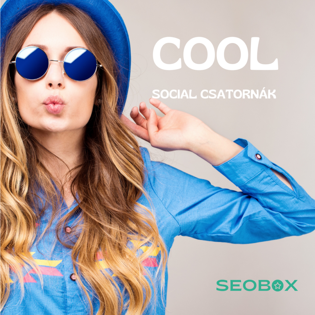 Seobox Social SEO social csatornák